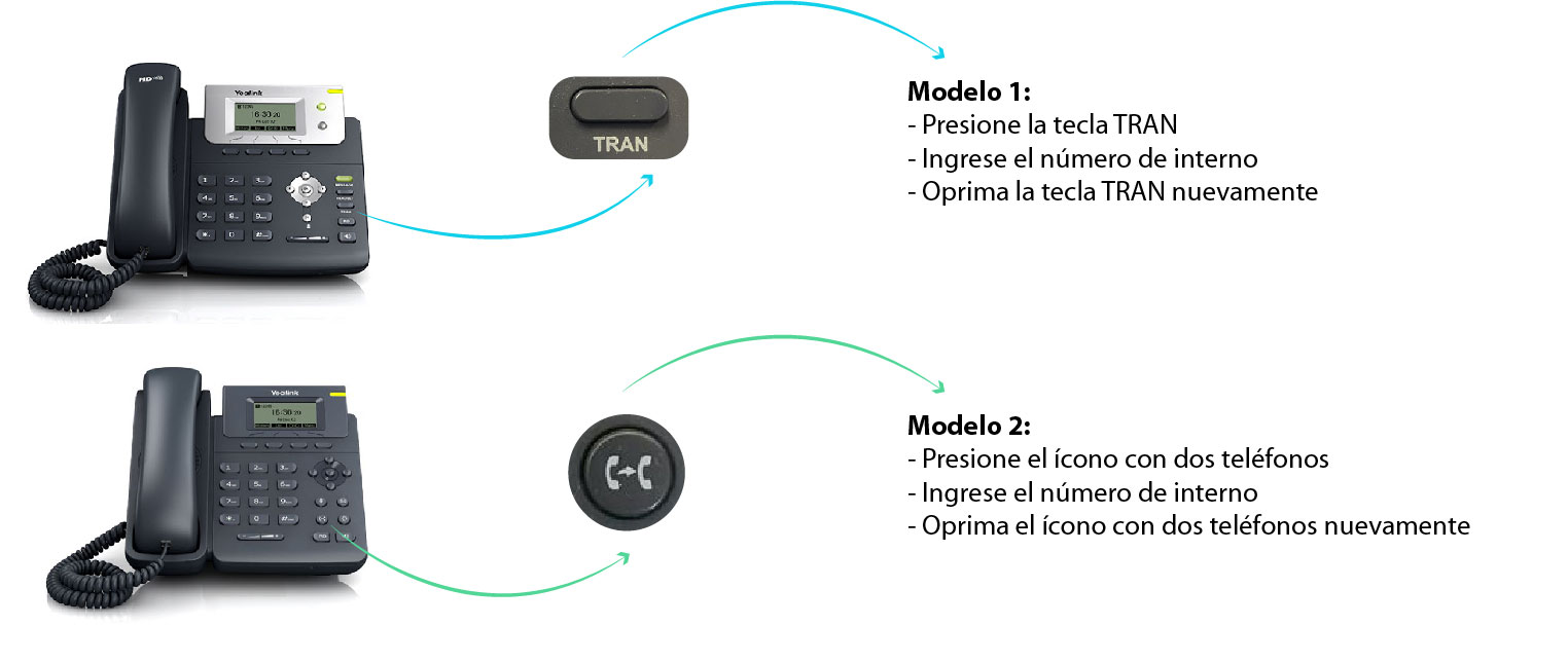 transferencia IP