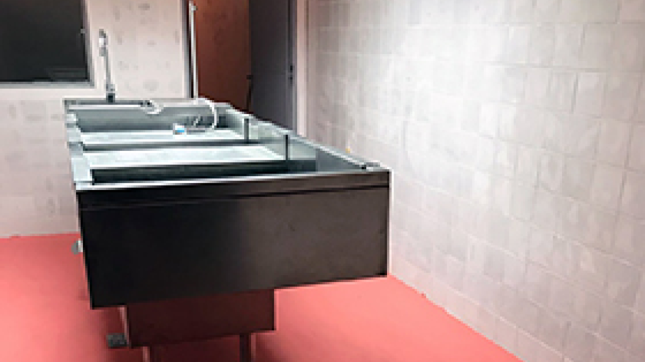 Suprema Corte decidió priorizar atención de necesidades edilicias y de equipamiento en morgues del interior