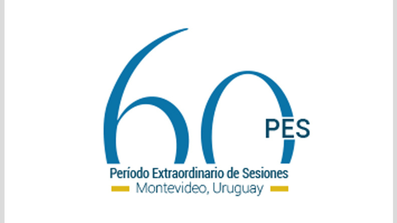 60pes-institucionales-1