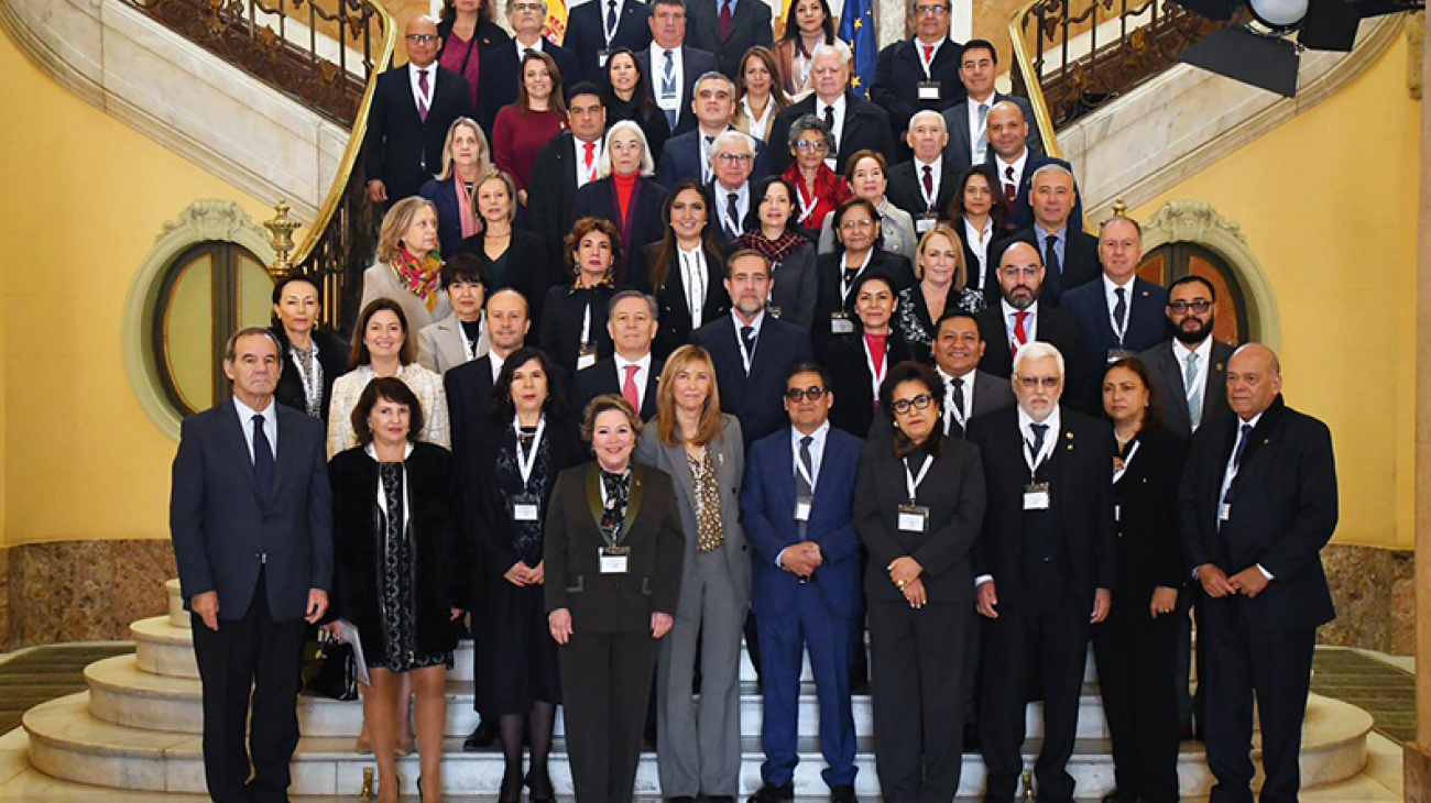 asamblea plenaria -1-