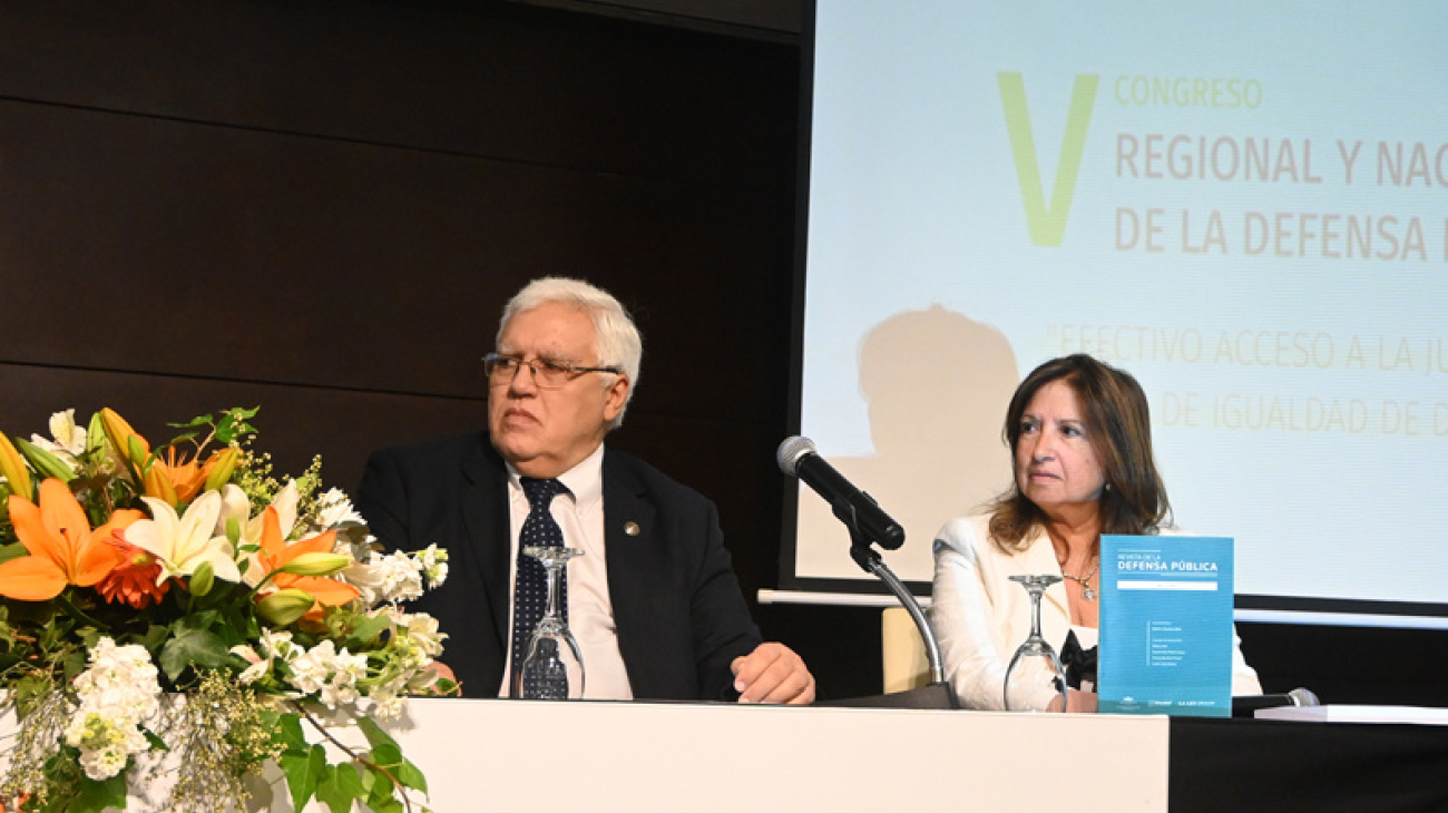 dinadef_perez_laino2