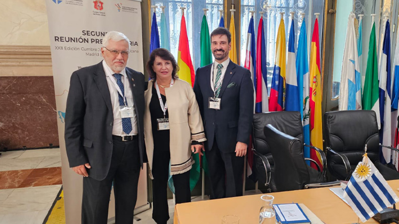 ii reunion espana -2-