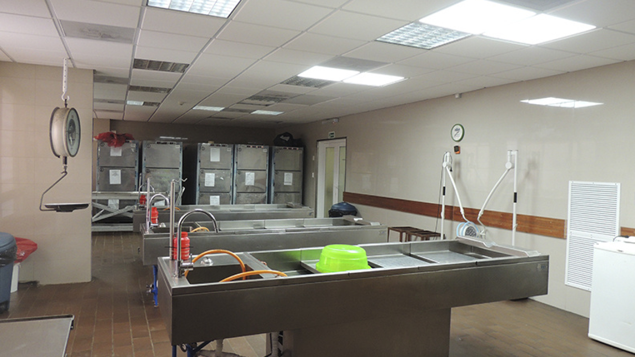 itf-morgue-institucionales