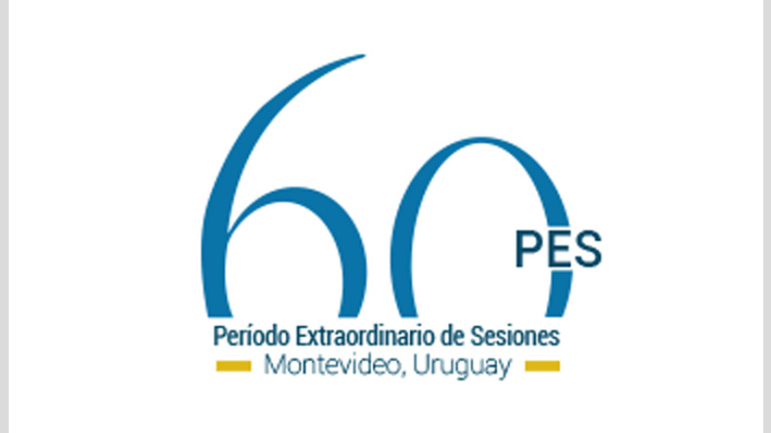 60pes-institucionales-1