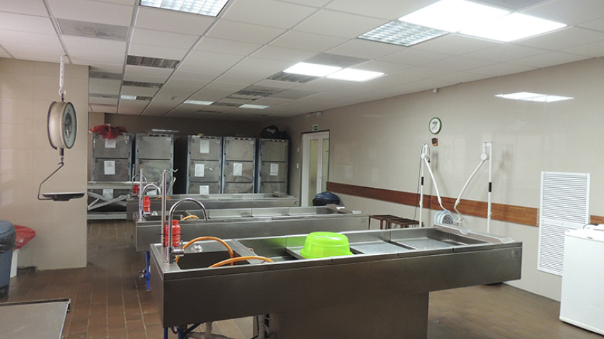 itf-morgue-institucionales