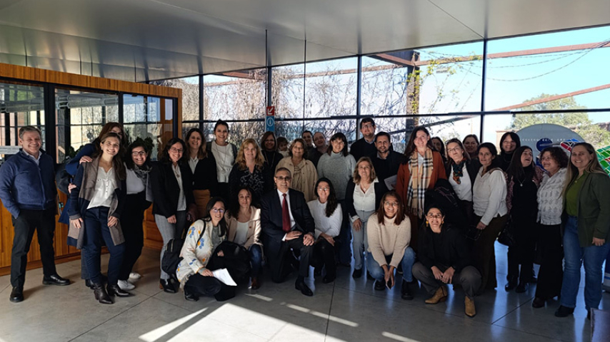 plan estrategico colonia