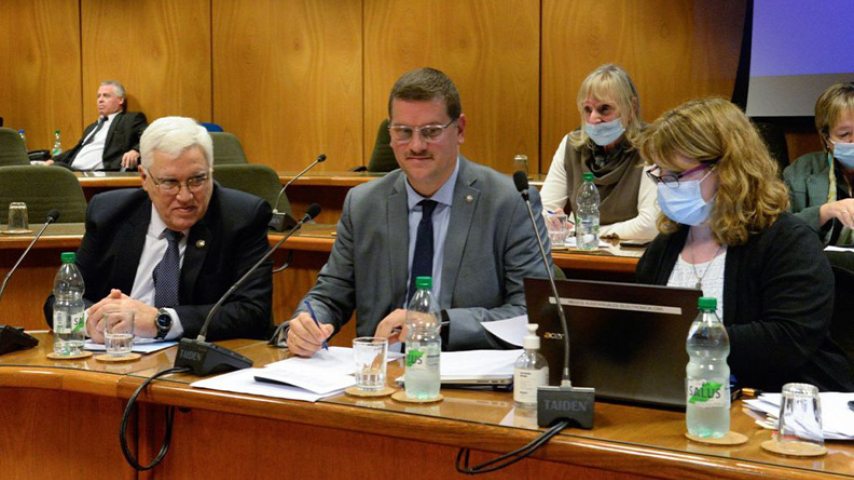 presupuesto-perez-pesce-2