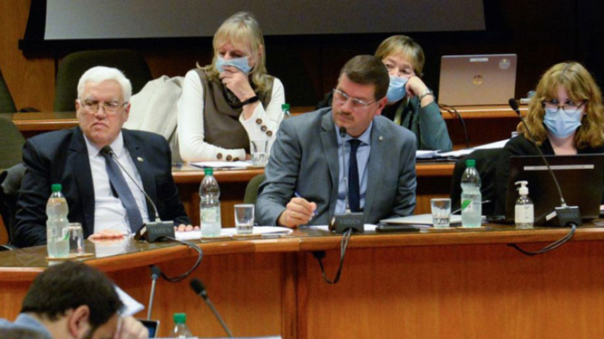 presupuesto-perez-pesce