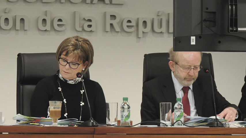 visita-turell-minvielle